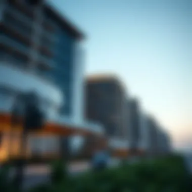 Magnificent Expatriates in Dubai: Navigating Life and Real Estate Opportunities Magnificent Expatriates in Dubai: Navigating Life and Real Estate Opportunities