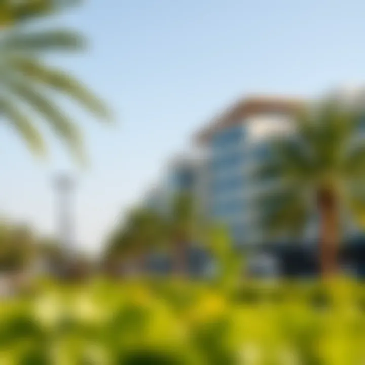 Magnificent Exploring Al Barsha Second Park: A Comprehensive Guide to Dubai's Urban Oasis