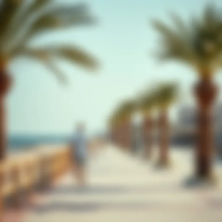 Magnificent Exploring Al Hamriyah Public Beach: A Comprehensive Guide