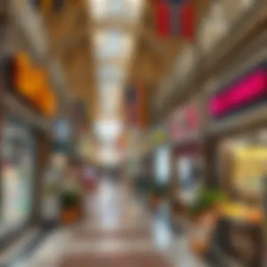 Magnificent Exploring Safeer Market in Khalifa City: An Overview Magnificent Exploring Safeer Market in Khalifa City: An Overview