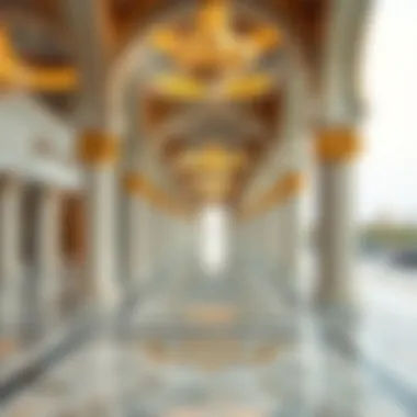Magnificent Exploring the Journey: A Trip to Abu Dhabi from Dubai