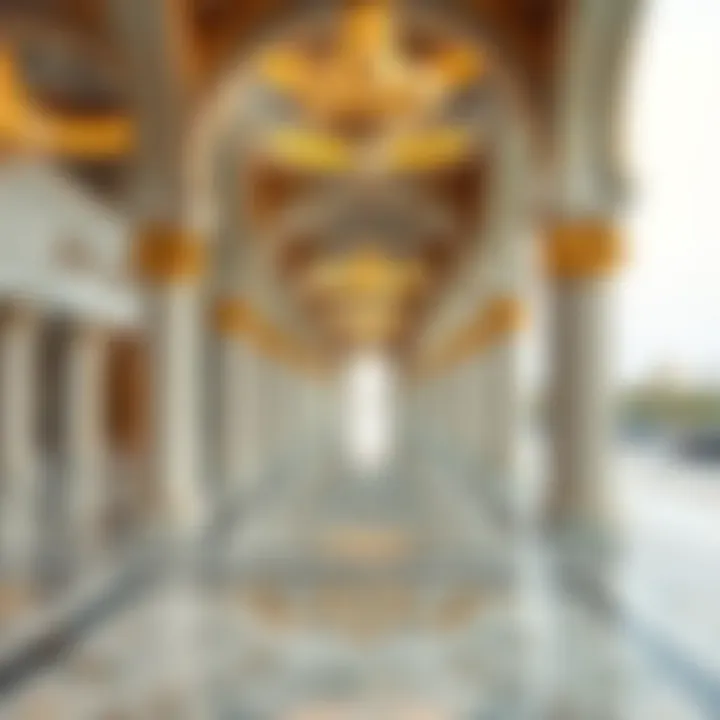 Magnificent Exploring the Journey: A Trip to Abu Dhabi from Dubai