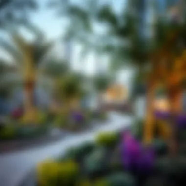Magnificent Exploring the Nad Al Sheba Mini Forest: A Greener Dubai Magnificent Exploring the Nad Al Sheba Mini Forest: A Greener Dubai