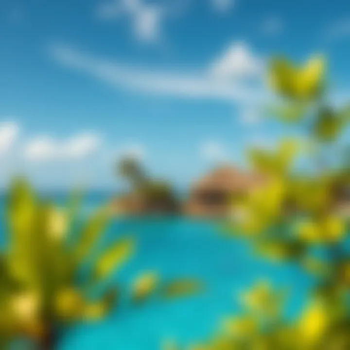 Magnificent Exploring the Realm of Private Islands for Sale