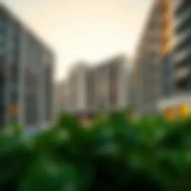 Magnificent Real Estate Companies in the UAE: A Comprehensive Overview Magnificent Real Estate Companies in the UAE: A Comprehensive Overview