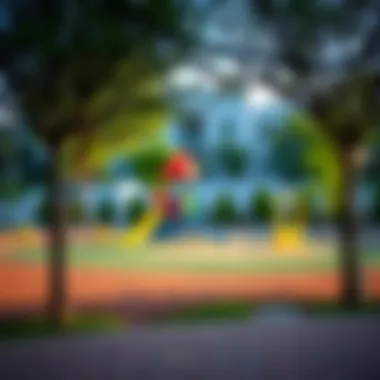 Recreational Facilities for Students An outdoor play area designed for children's recreational activities.