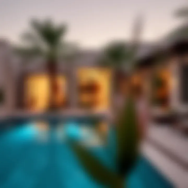 Notable Exploring Affordable Villas with Private Pools for Daily Rent in the UAE
