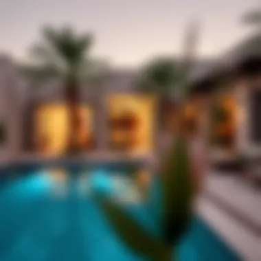 Notable Exploring Affordable Villas with Private Pools for Daily Rent in the UAE Notable Exploring Affordable Villas with Private Pools for Daily Rent in the UAE