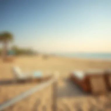 Notable Exploring Al Hamriyah Public Beach: A Comprehensive Guide Notable Exploring Al Hamriyah Public Beach: A Comprehensive Guide