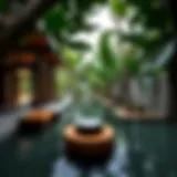 Exploring Anantara Eastern Mangrove: A Deep Dive into Luxury and Nature Introduction