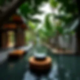 Exploring Anantara Eastern Mangrove: A Deep Dive into Luxury and Nature Introduction