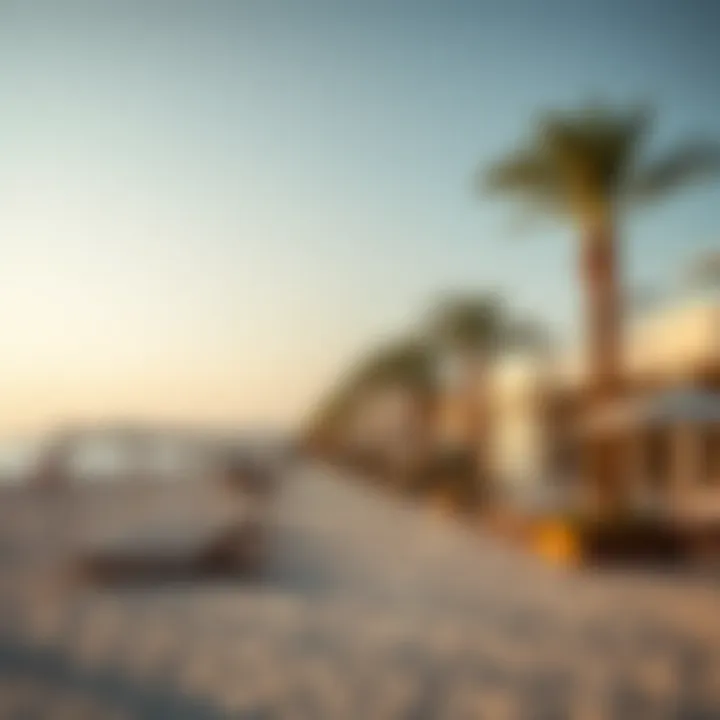 Exploring La Mer Beach in Jumeirah: A Comprehensive Guide Summary