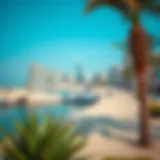 Exploring Ladies Beach Dubai: A Multifaceted Perspective Introduction