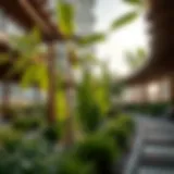Exploring the Nad Al Sheba Mini Forest: A Greener Dubai Introduction