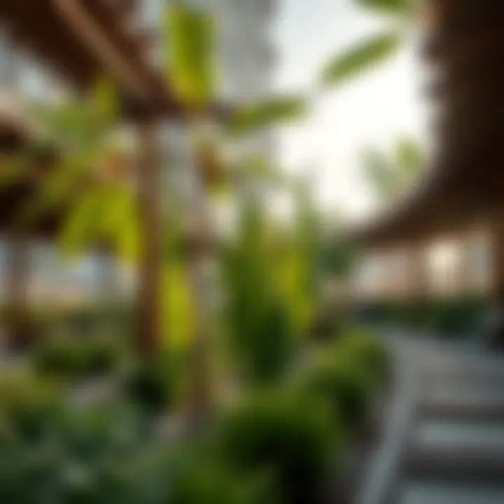 Exploring the Nad Al Sheba Mini Forest: A Greener Dubai Introduction
