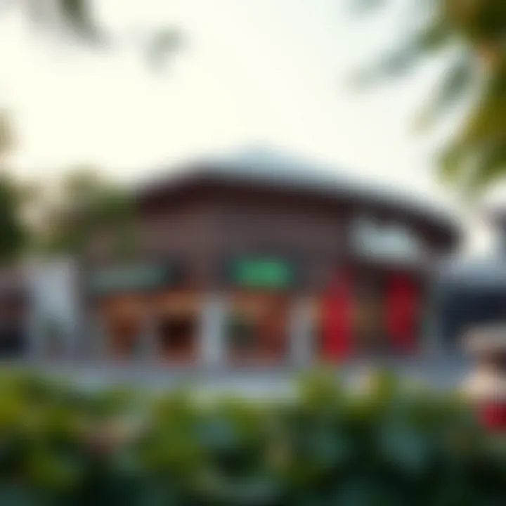 Lulu Hypermarket and Its Role in the Green Community Summary