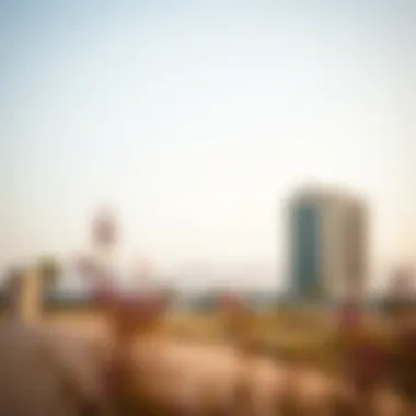 Sahara Meadows: The Emerging Landscape of Dubai Real Estate Summary Sahara Meadows: The Emerging Landscape of Dubai Real Estate Summary