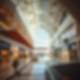 The Architectural Essence of Dalma Mall: A Deep Dive Introduction