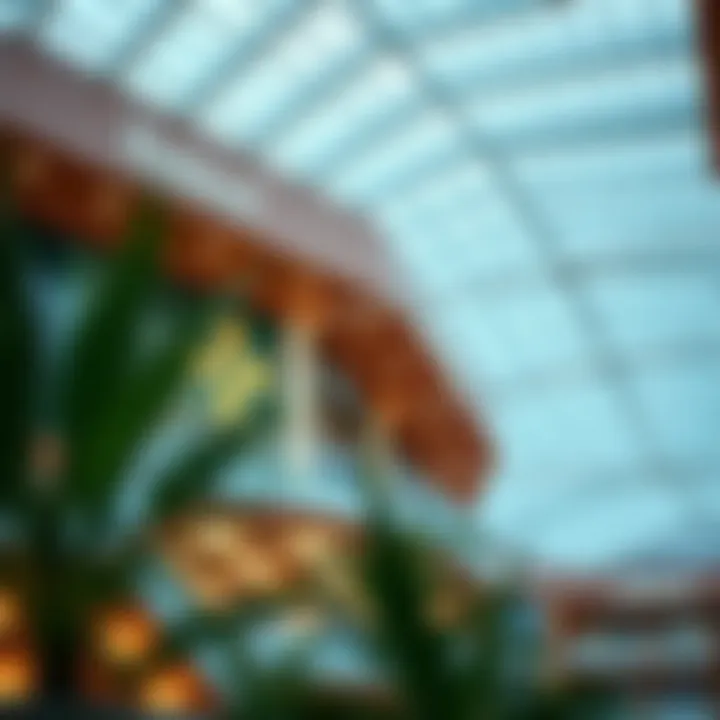 Notable The Architectural Essence of Dalma Mall: A Deep Dive