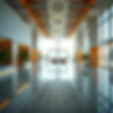 Understanding RERA in Dubai: Regulations and Implications for Real Estate Summary Understanding RERA in Dubai: Regulations and Implications for Real Estate Summary