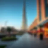 Understanding Zabeel: A Deep Dive into an Iconic Area of Dubai Introduction